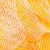 Yellow Daisy