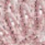 Pink Monocle