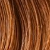 9CG Light Copper Golden Blonde