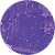 Glittery Purple