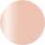 Rose Petal #059