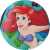 Ariel