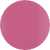 Pink Fuchsia