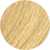 10-1 lightest blonde/natural ash/rich naturals
