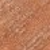 Amber Brown