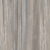 10.1 Lightest Ash Blonde- Ash
