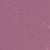 022 Matt Orchid