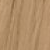 9.31 Very Light Golden Ash Blonde