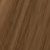 9.32 Very Light Golden Iridescent Blonde