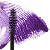 Nr. 04 Violet