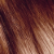 6.34 Dark Copper Blonde