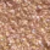 004 Light Copper