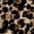 Brown Cheetah