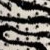 Black Zebra