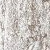 Silver Highlight 40