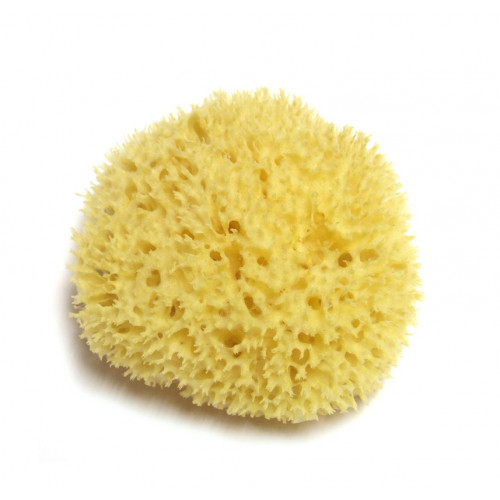 ~10 cm