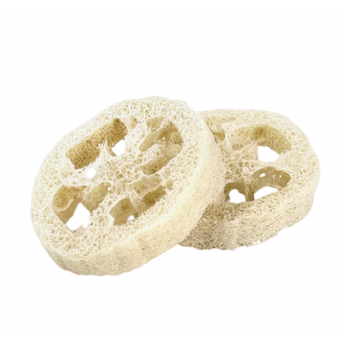 Compostable Shampoo Holder