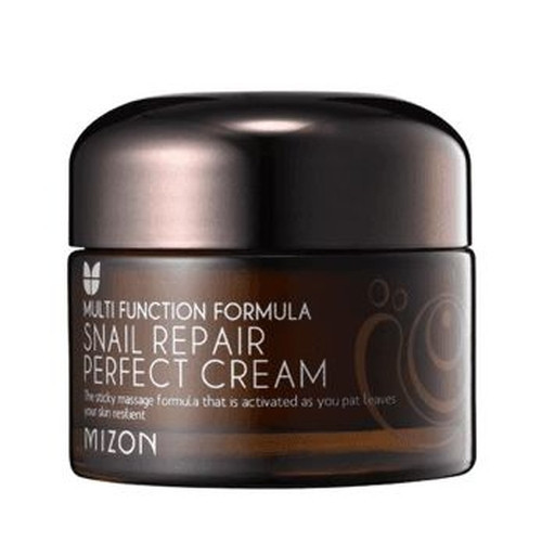 Photos - Cream / Lotion Mizon Snail Repair Perfect Cream 50ml KS912297