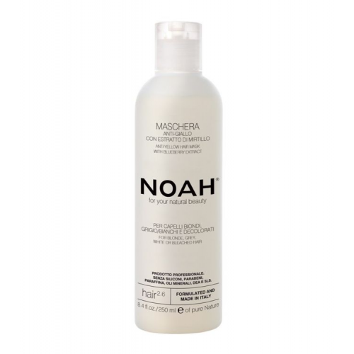 Noah 2.6 Anti-Yellow Hair Mask Geltonus tonus neutralizuojanti plaukų kaukė