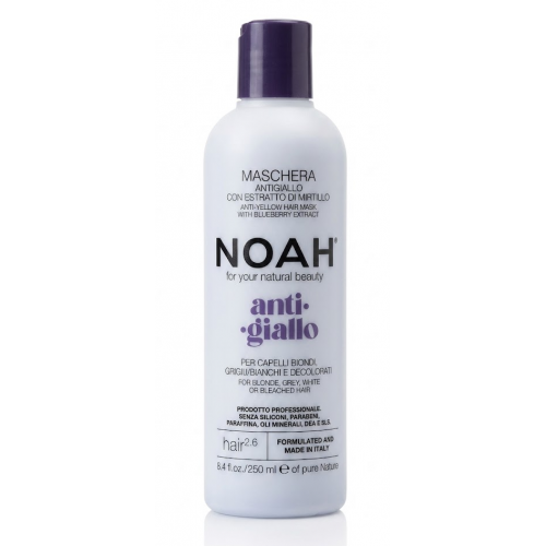Photos - Hair Product Noah Noah 2.6 Anti-Yellow Hair Mask With Blueberry Extract 250ml KS765473