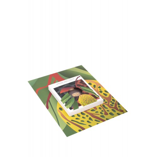 Chocolate Naive Jaguar Tree Cacoa In Heirloom Dark Chocolate Jaguaro medžio kakavos šokoladas