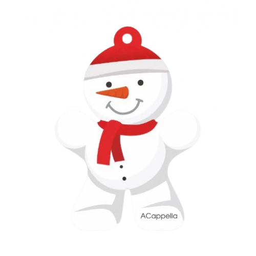 Snow man