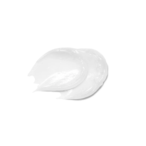 Transparent Lab Overnight Restoring Lip Treatment Atkurianti priemonė lūpoms  15ml