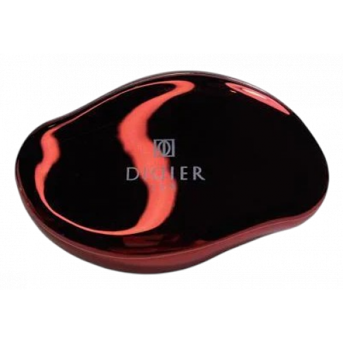 Didier Lab Nano Glass Foot File Stiklinė pėdų dildė